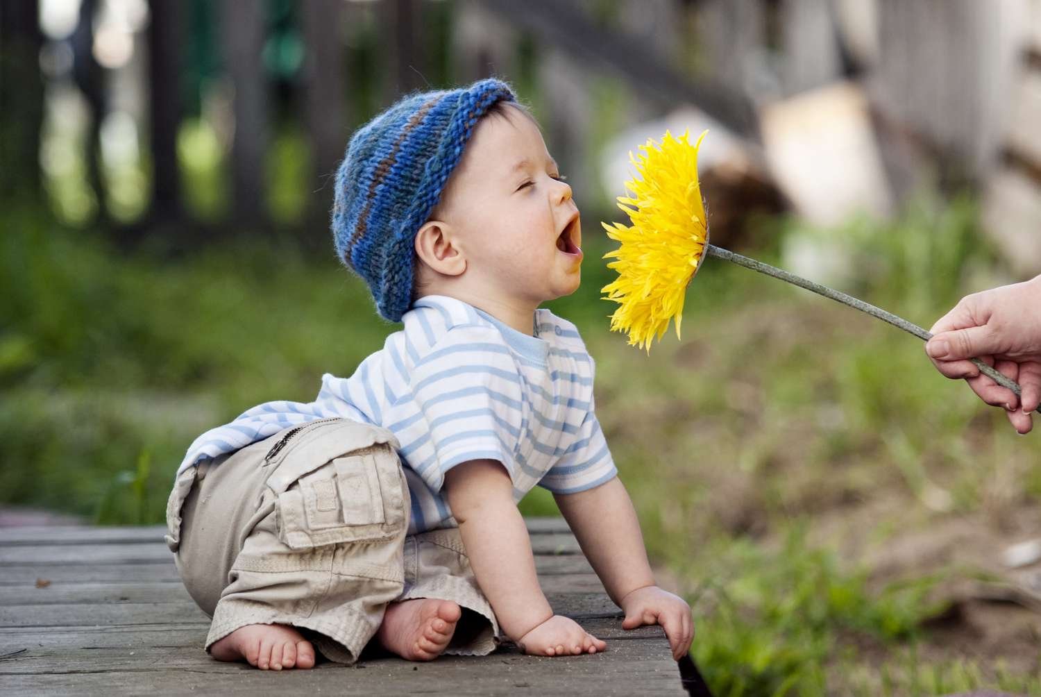 Canadian child experiencing fall allergy symptoms with seasonal allergens like ragweed pollen in background