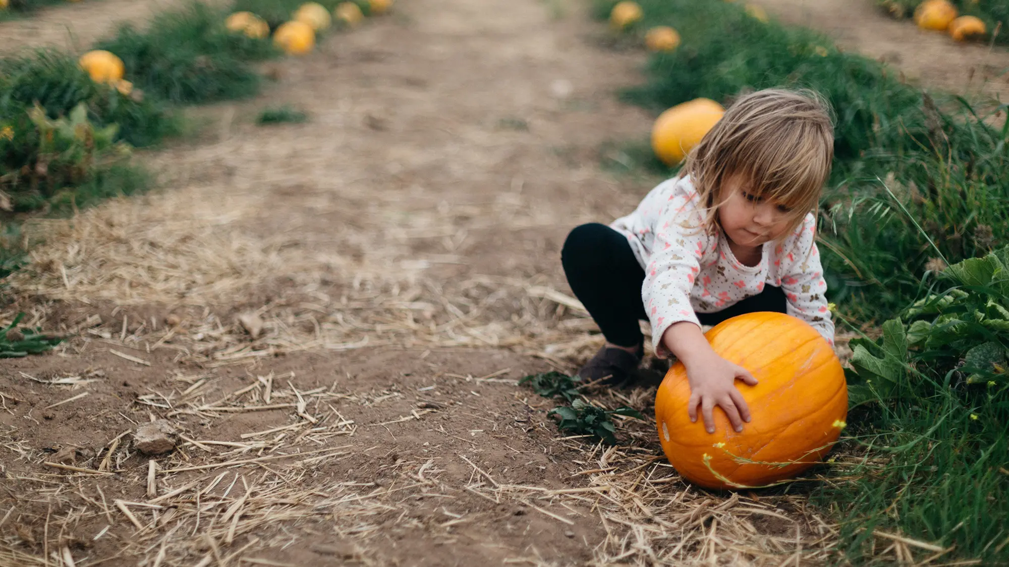 Outdoor family activities in Canada during fall season with children playing in natural settings