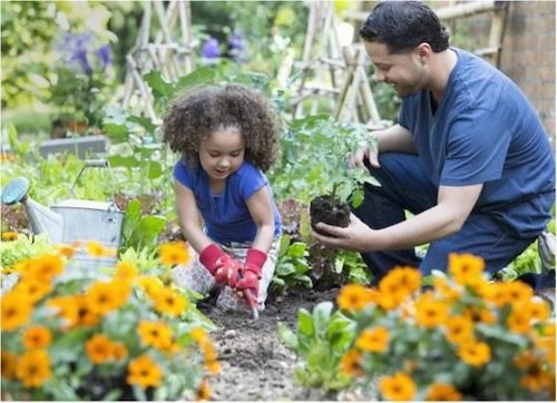 Beautiful spring day perfect for outdoor family activities in Canada